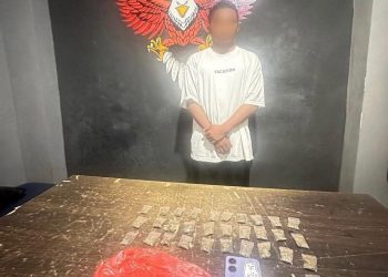 Polres Ternate Ungkap Kasus Narkotika Jenis Ganja, Satu Tersangka Diamankan