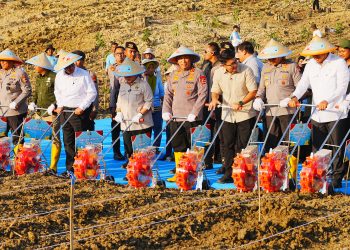 Kapolri: Pembiayaan Hingga Distribusi Jagung Akan Libatkan Koperasi Merah Putih