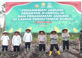 Sukseskan Ketahanan Pangan Nasional, Polda Kalteng dan Polresta Palangka Raya Tanaman Jagung di Rakumpit