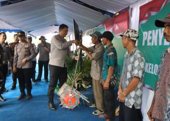 Dukung Ketahanan Pangan Nasional, Kapolda Kalteng Tanam Jagung Kuartal III di Pulang Pisau