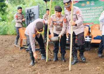 Polres Pulau Morotai Laksanakan Tanam Jagung Kuartal III
