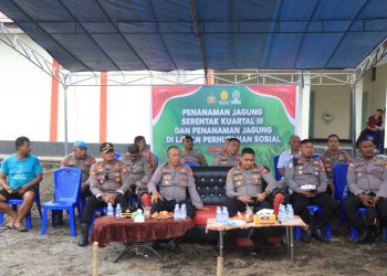 Polres Halmahera Barat Laksanakan Penanaman Jagung Serentak Kuartal Iii Dukung Program Ketahanan Pangan Nasional
