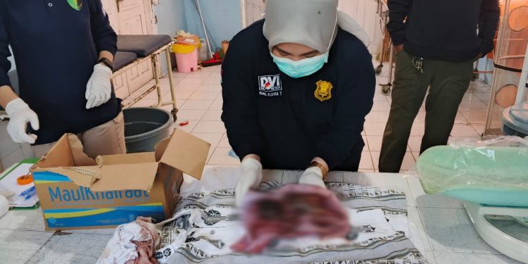 Polres Ternate Lakukan Penyelidikan Penemuan Mayat Bayi Laki-Laki di Kali Mati Kelurahan Takoma