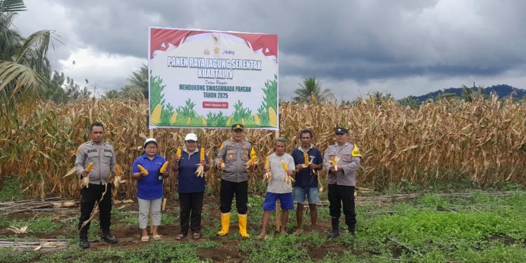 Polsek Tobelo Selatan Gelar Panen Raya Jagung Kuartal IV untuk Dukung Swasembada Pangan 2025